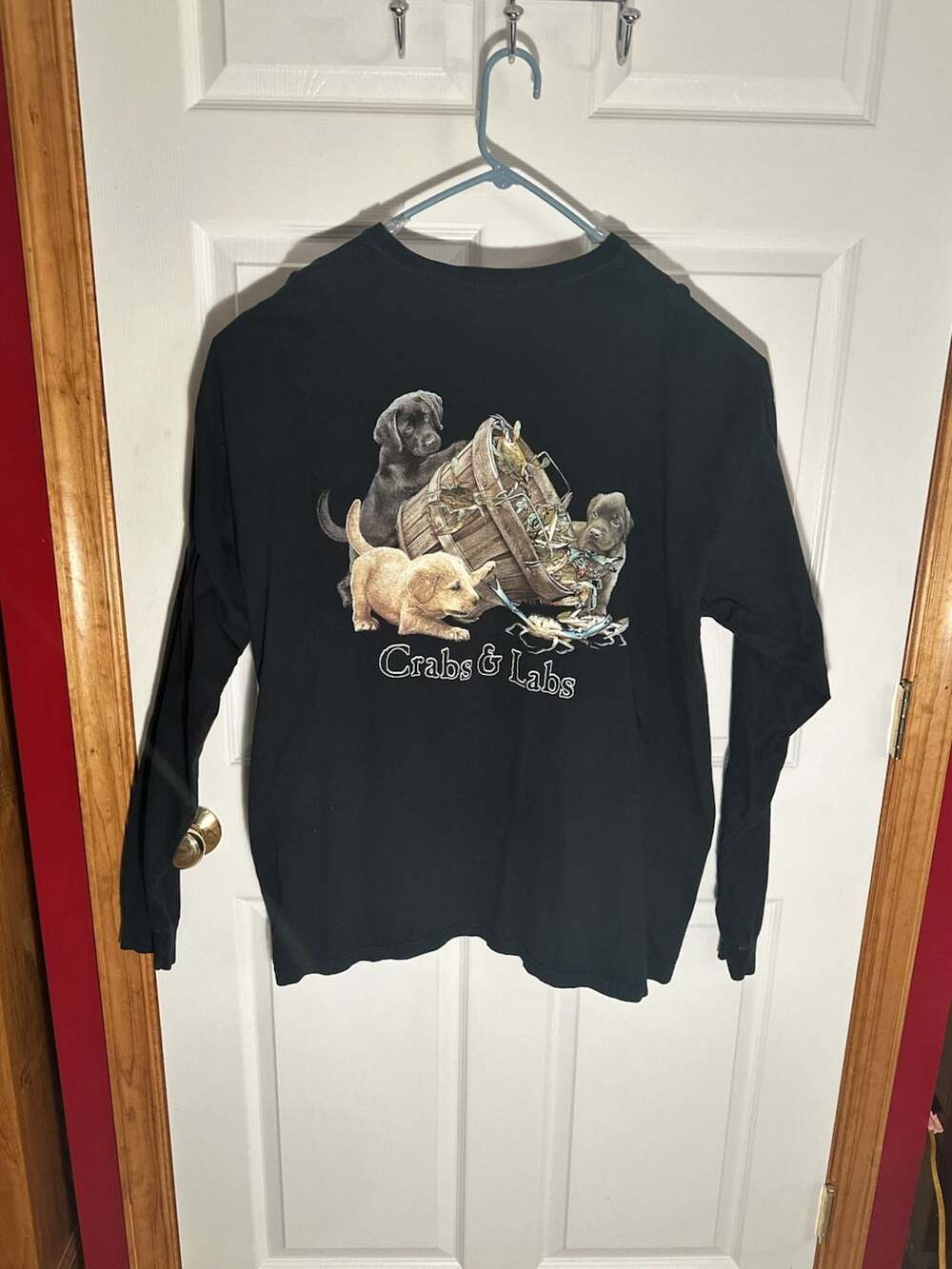 Comfort Colors Apache Pier Myrtle Beach Crabs & Labs Long Sleeve Graphic T-Shirt
